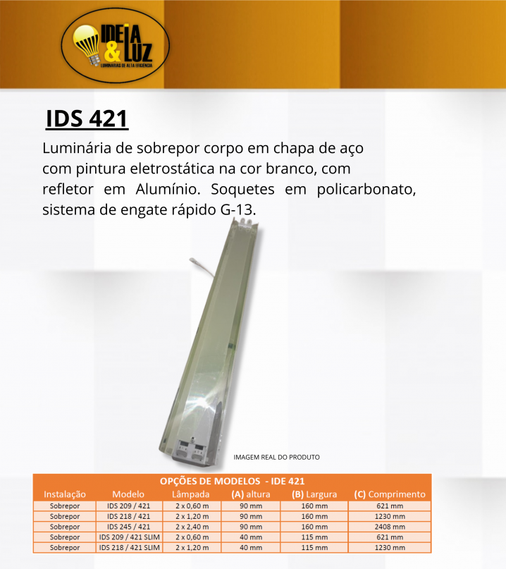 IDS 421